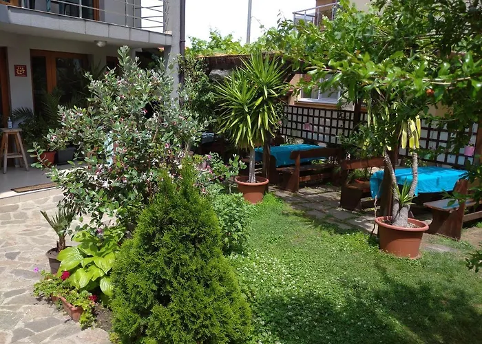 Niya 切尔诺莫雷茨